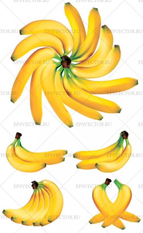 Клипарт бананы в векторе